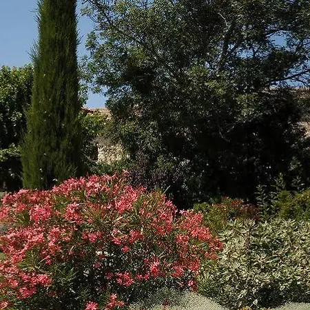 Domaine De La Vivande